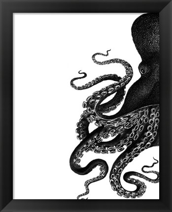 Framed Octopus Black and White a Print