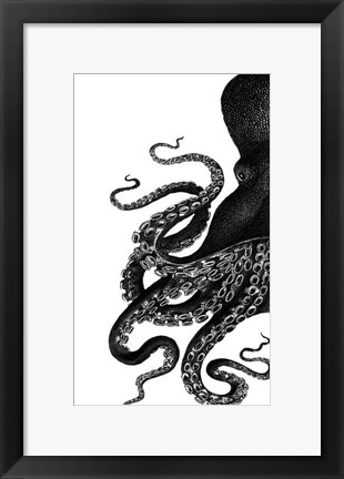 Framed Octopus Black and White a Print