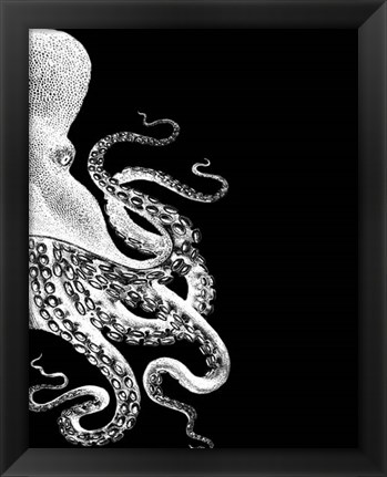 Framed Octopus Black and White b Print