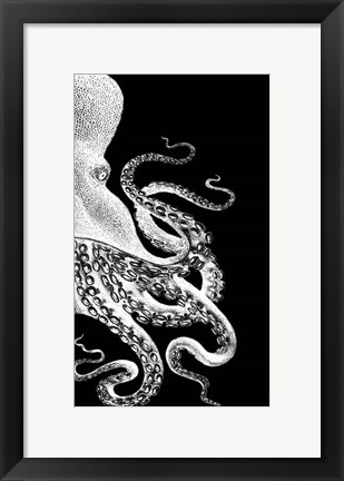 Framed Octopus Black and White b Print