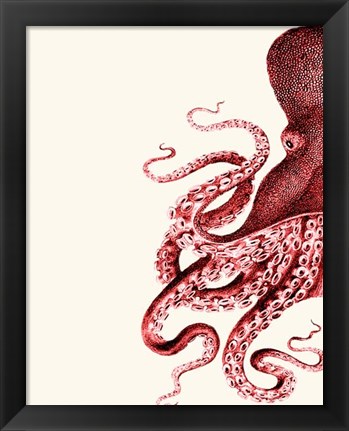 Framed Octopus Red and White a Print