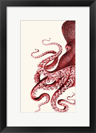 Framed Octopus Red and White a Print