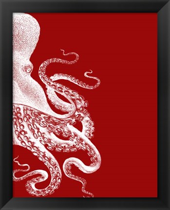 Framed Octopus Red and White b Print