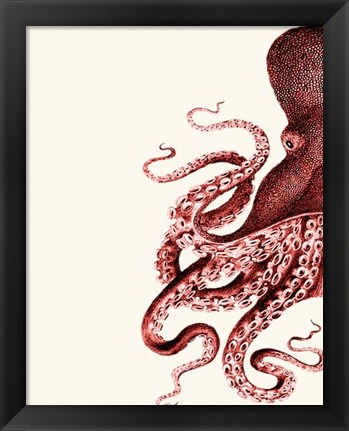 Framed Octopus Coral and Cream a Print