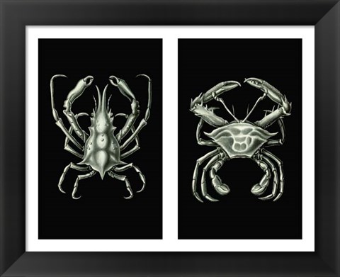 Framed Crabs On Black in 2 panels Print