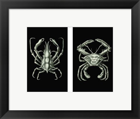 Framed Crabs On Black in 2 panels Print