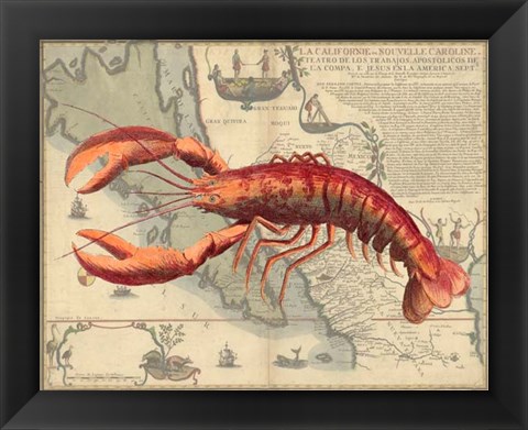 Framed Lobster print on Nautical Map Print