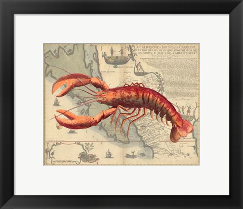 Framed Lobster print on Nautical Map Print