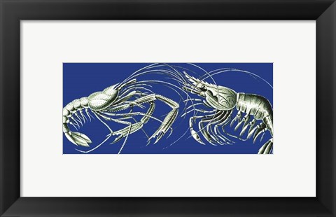 Framed Shrimps On Blue Print