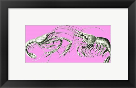 Framed Shrimps On Pink Print