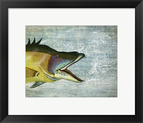 Framed Hog Fish print on nautical map image Print