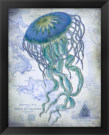 Framed Jellyfish On image of Nautical Map Print