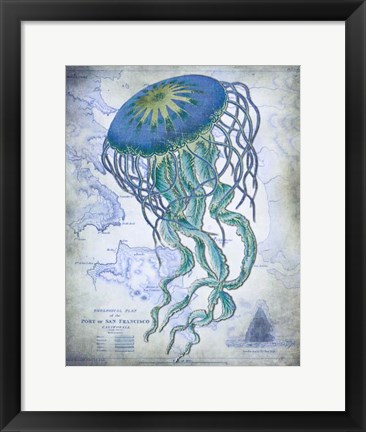 Framed Jellyfish On image of Nautical Map Print