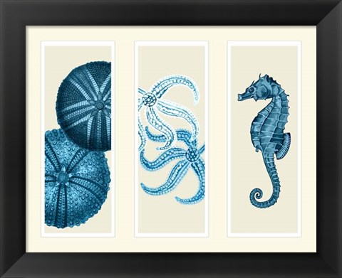 Framed Three Panel Print Sea Urchin Starfish and Seahorse in Blue Print