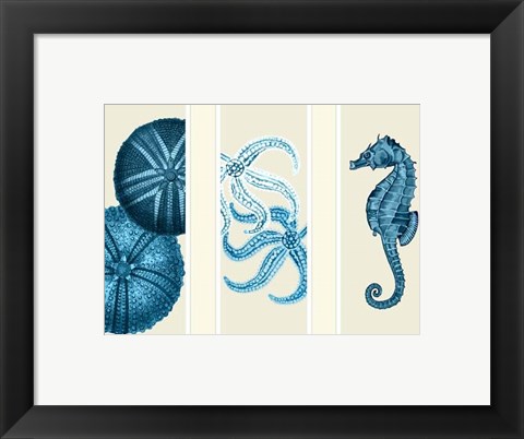 Framed Three Panel Print Sea Urchin Starfish and Seahorse in Blue Print