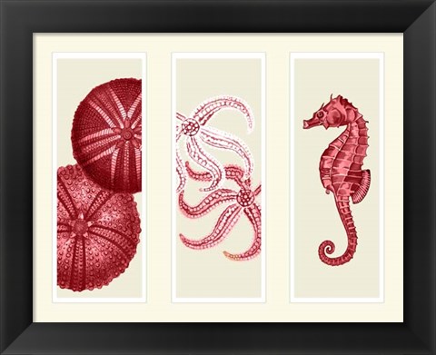 Framed Three Panel Print Sea Urchin Starfish and Seahorse in Red Print