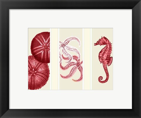 Framed Three Panel Print Sea Urchin Starfish and Seahorse in Red Print