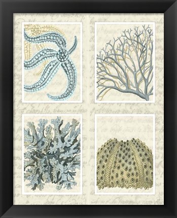 Framed Blue Corals On Vintage Script in 4 Panels Print