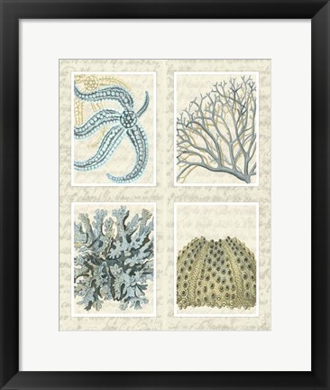 Framed Blue Corals On Vintage Script in 4 Panels Print