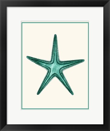 Framed Mixed Nautical Green on Cream f Print