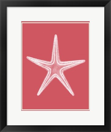 Framed Mixed Nautical White on Coral f Print