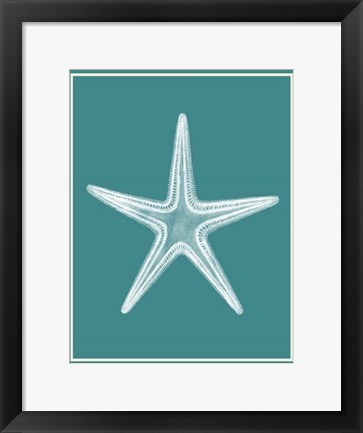 Framed Mixed Nautical White on Teal a Print