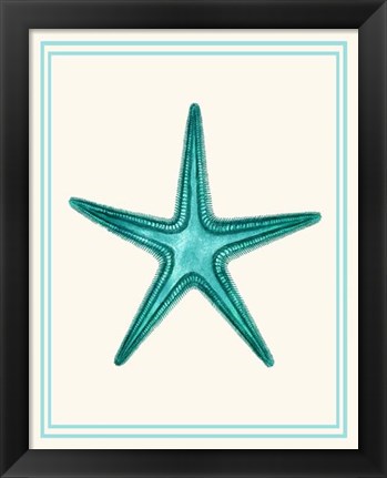 Framed Mixed Nautical Turquoise on Cream f Print