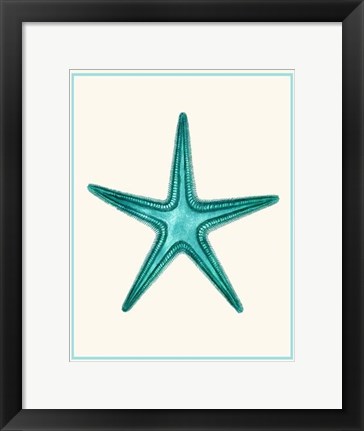 Framed Mixed Nautical Turquoise on Cream f Print