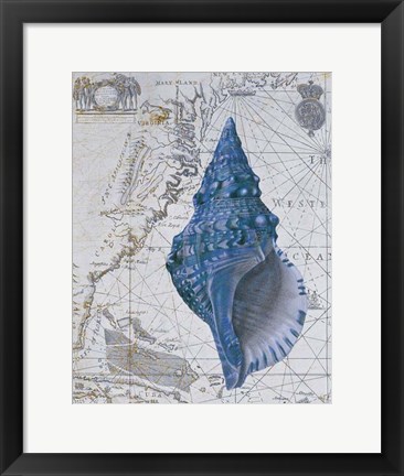 Framed Seashell Collection 1 a Print