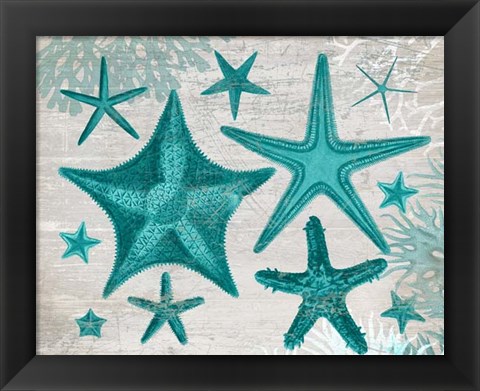 Framed Green Starfish Collection Print