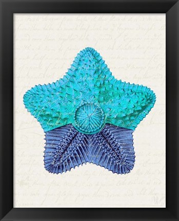 Framed Starfish in Shades of Blue c Print