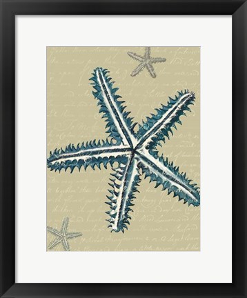 Framed Blue Starfish on Taupe a Print