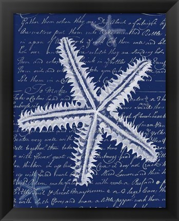 Framed White Starfish on Blue a Print