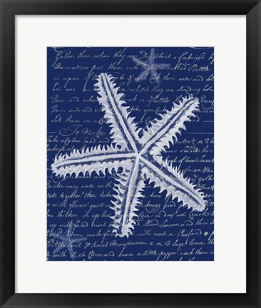 Framed White Starfish on Blue a Print