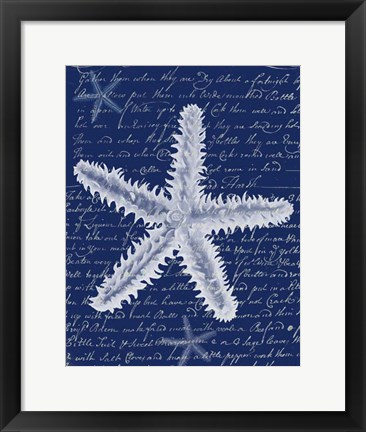 Framed White Starfish on Blue b Print