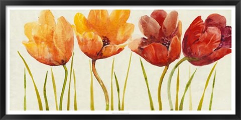 Framed Row of Tulips I Print