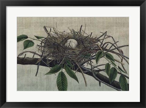 Framed Nesting III Print