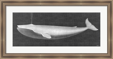 Framed Whale Watching I Print