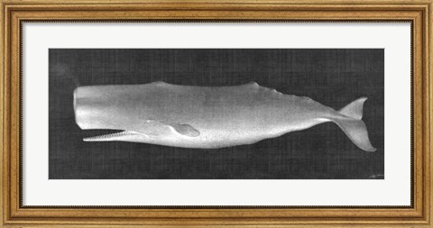 Framed Whale Watching II Print