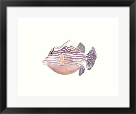 Framed Watercolor Tropical Fish II Print