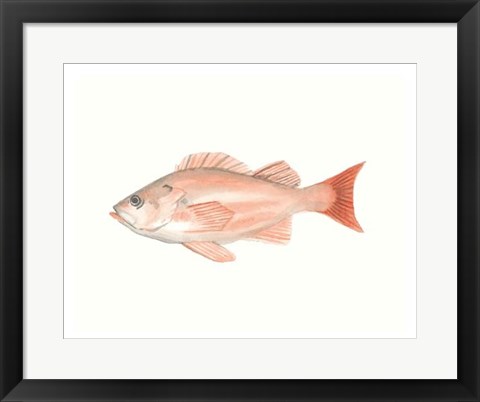 Framed Watercolor Deep Sea Fish I Print