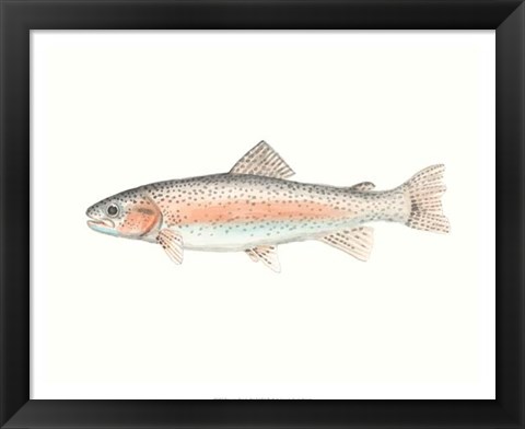 Framed Watercolor Deep Sea Fish II Print