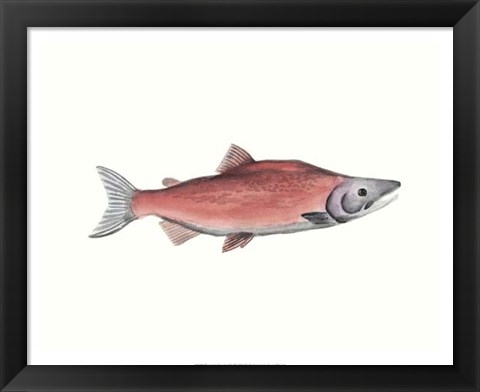 Framed Watercolor Deep Sea Fish III Print
