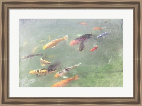 Framed Koi Reflections I Print