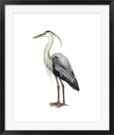 Framed Sea Bird I Print