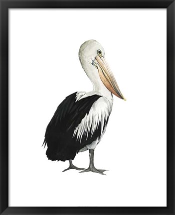 Framed Sea Bird IV Print