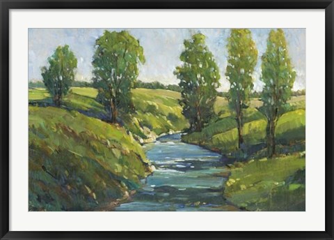 Framed Lush Landscape III Print