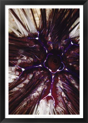 Framed Passion Flower - Thailand Print