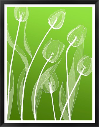 Framed Floral Silhouette 4 Print