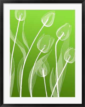 Framed Floral Silhouette 4 Print